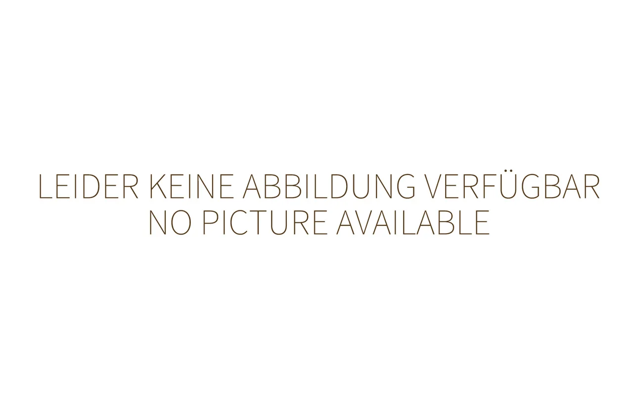 Bild von Wandhalterung für Salamander Flash Heat