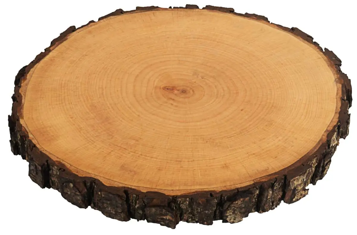 Bild von PURE NATURE Holzscheibe, groß  