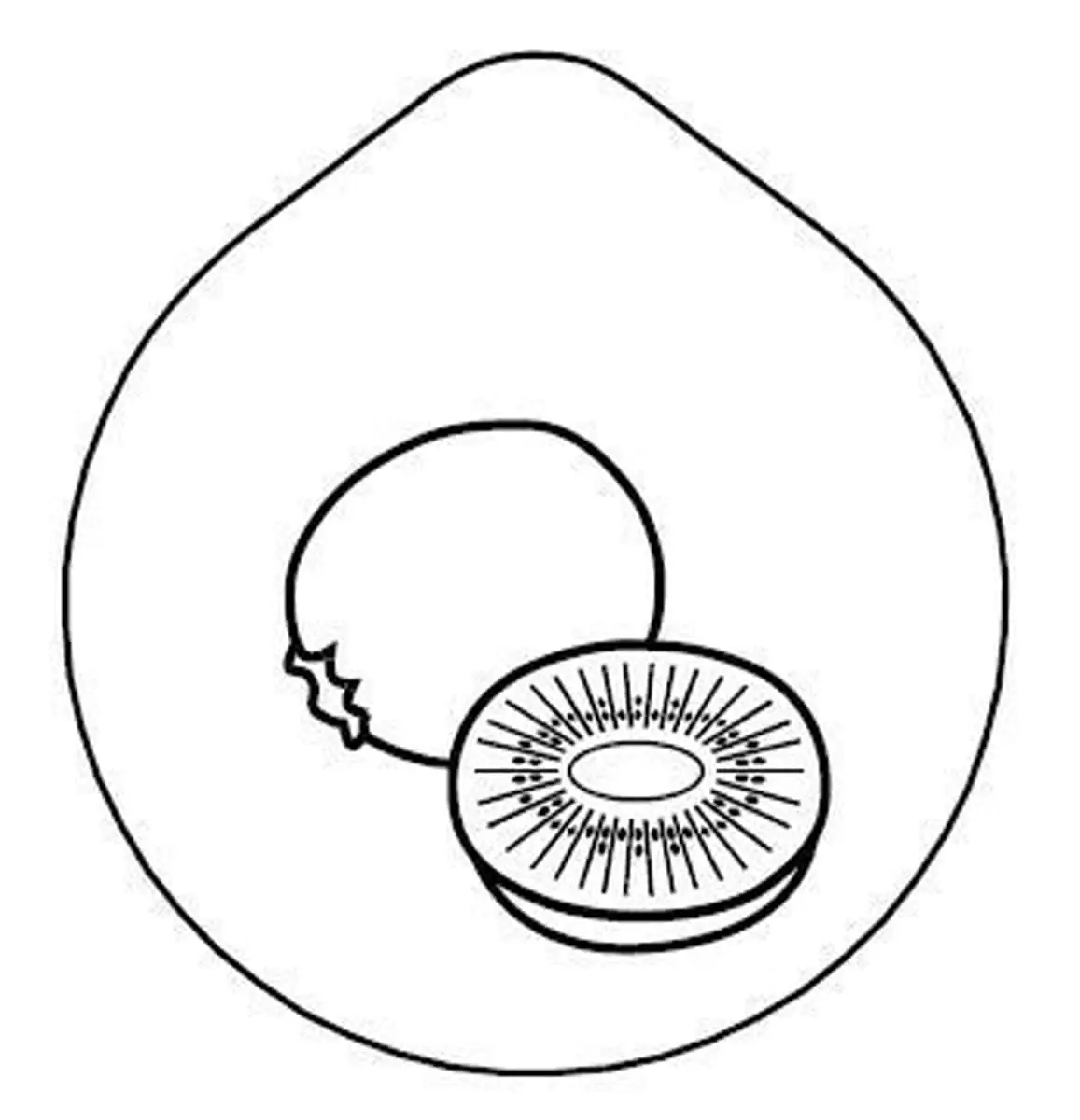 Bild von CARAFINE/CONNECT 'Laserbeschriftung' Kiwi auf Edelstahldeckel
